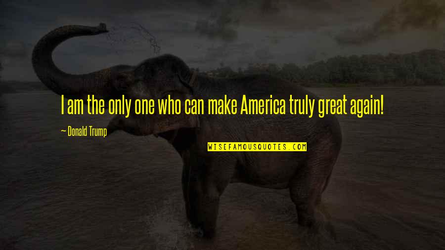 Goodbye Mumbai Quotes By Donald Trump: I am the only one who can make