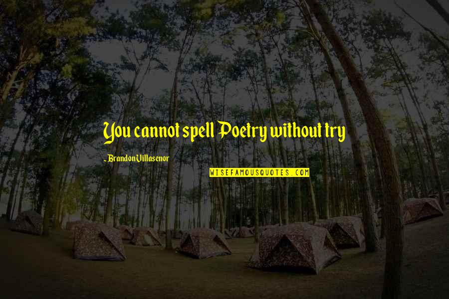 Goodbye Music Quotes By Brandon Villasenor: You cannot spell Poetry without try Goodbye Music Quotes By Brandon Villasenor: You cannot spell Poetry without try