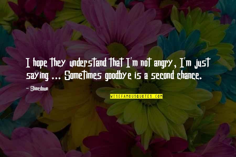 Goodbye Music Quotes By Shinedown: I hope they understand that I'm not angry,