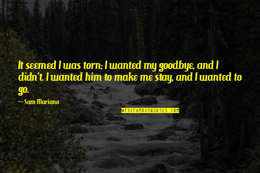 Goodbye My Love Quotes By Sam Mariano: It seemed I was torn; I wanted my