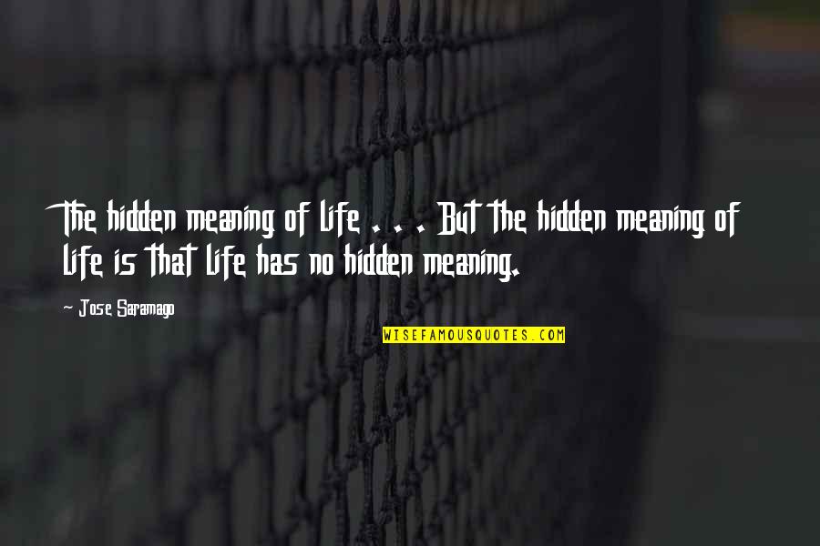 Goodbye Officemate Quotes By Jose Saramago: The hidden meaning of life . . .