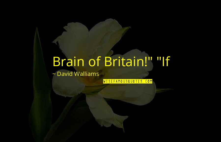 Goodbye To Work Quotes By David Walliams: Brain of Britain!" "If