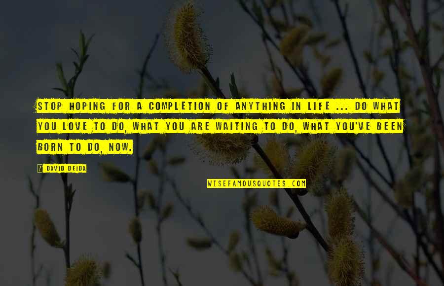 Goodenow Quotes By David Deida: Stop hoping for a completion of anything in