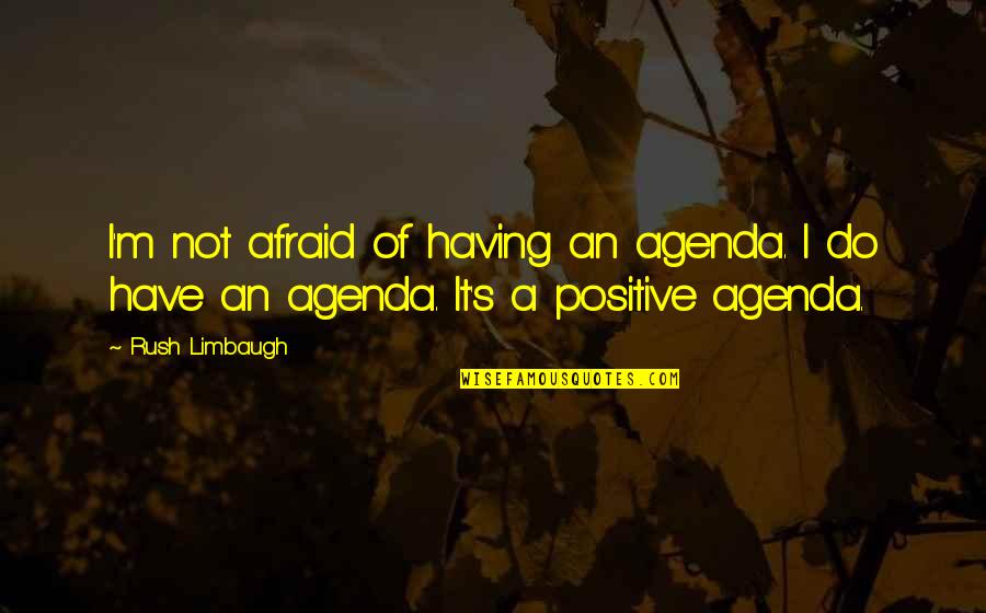 Goodie Mob Quotes By Rush Limbaugh: I'm not afraid of having an agenda. I