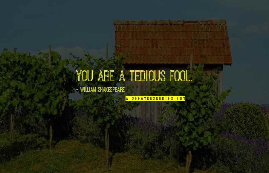 Goodish Times Quotes By William Shakespeare: You are a tedious fool.