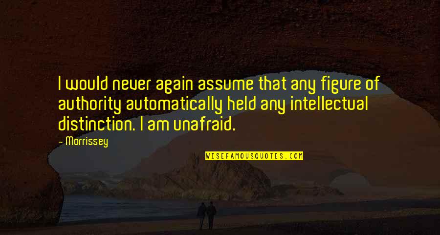 Goodk Quotes By Morrissey: I would never again assume that any figure