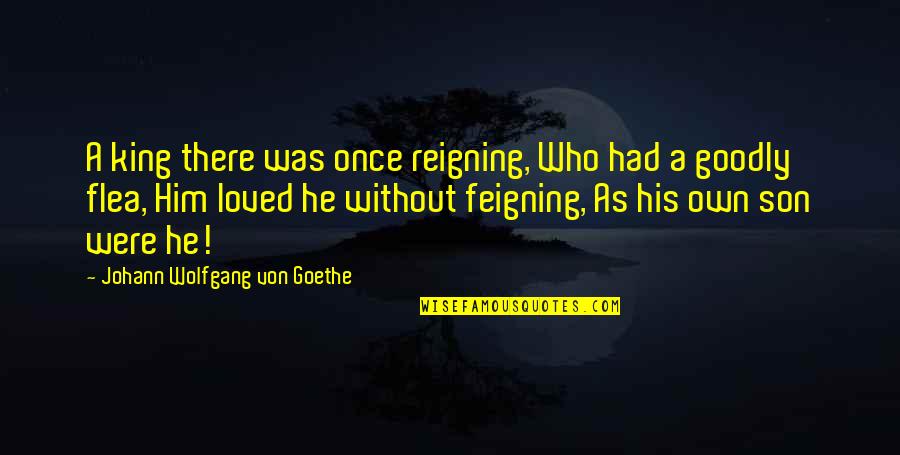 Goodly Quotes By Johann Wolfgang Von Goethe: A king there was once reigning, Who had