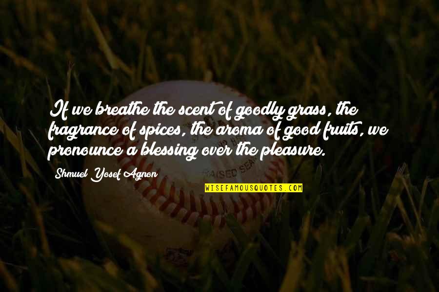 Goodly Quotes By Shmuel Yosef Agnon: If we breathe the scent of goodly grass,