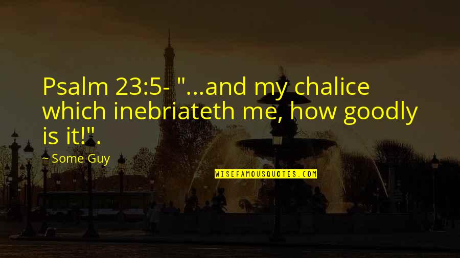 Goodly Quotes By Some Guy: Psalm 23:5- "...and my chalice which inebriateth me,