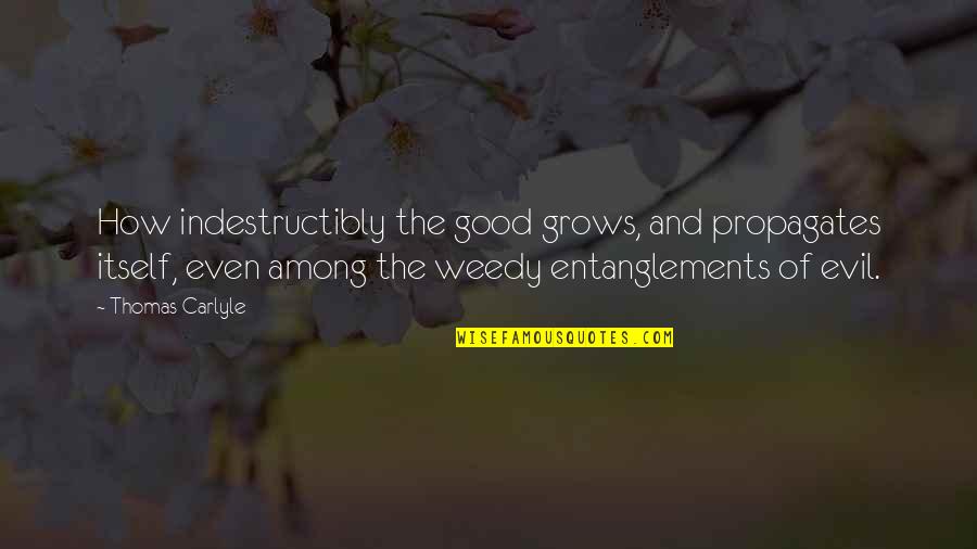 Goodness And Evil Quotes By Thomas Carlyle: How indestructibly the good grows, and propagates itself,