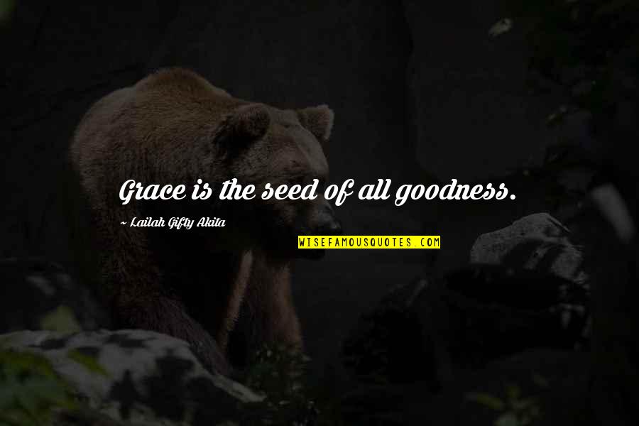 Goodness Of Life Quotes By Lailah Gifty Akita: Grace is the seed of all goodness.