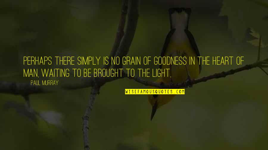 Goodness Of Man Quotes By Paul Murray: Perhaps there simply is no grain of goodness