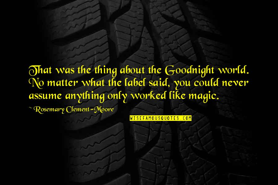 Goodnight All Quotes By Rosemary Clement-Moore: That was the thing about the Goodnight world.