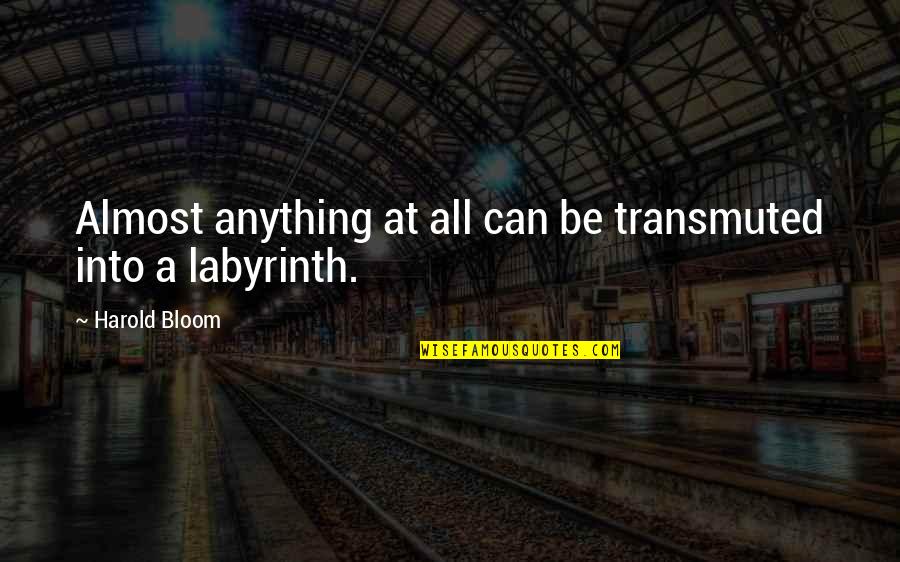 Goodnight Husband Quotes By Harold Bloom: Almost anything at all can be transmuted into