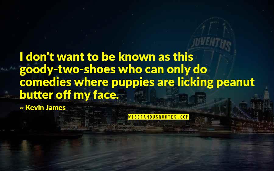 Goody Quotes By Kevin James: I don't want to be known as this Goody Quotes By Kevin James: I don't want to be known as this