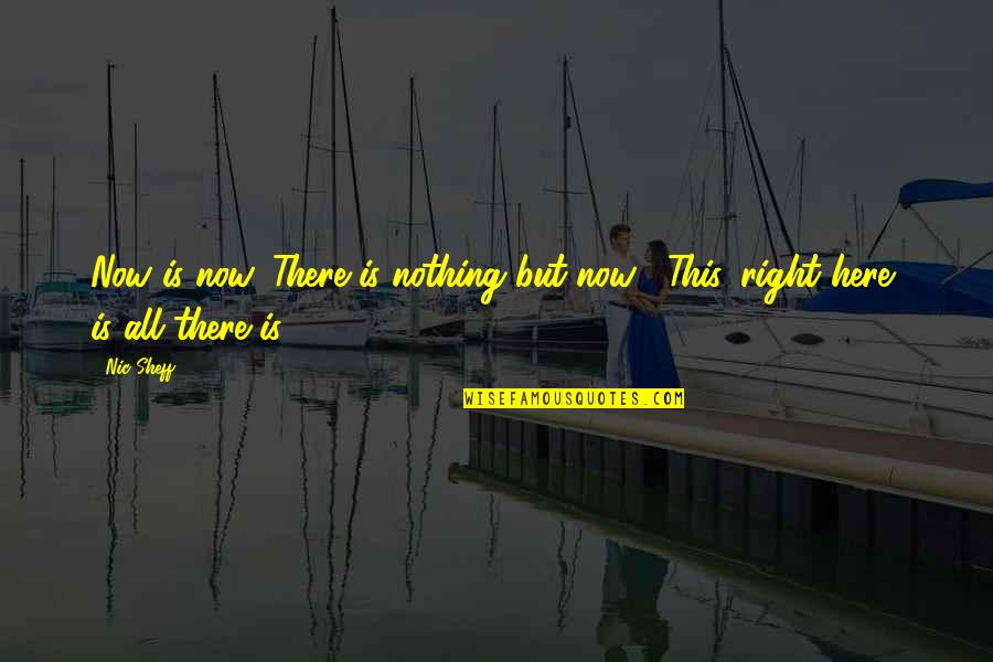 Goofiness In Spanish Quotes By Nic Sheff: Now is now. There is nothing but now...