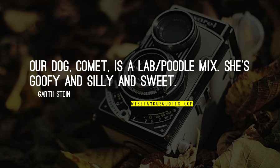 Goofy Quotes By Garth Stein: Our dog, Comet, is a Lab/poodle mix. She's