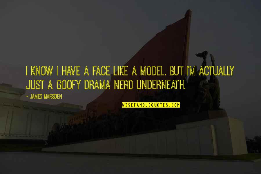 Goofy Quotes By James Marsden: I know I have a face like a