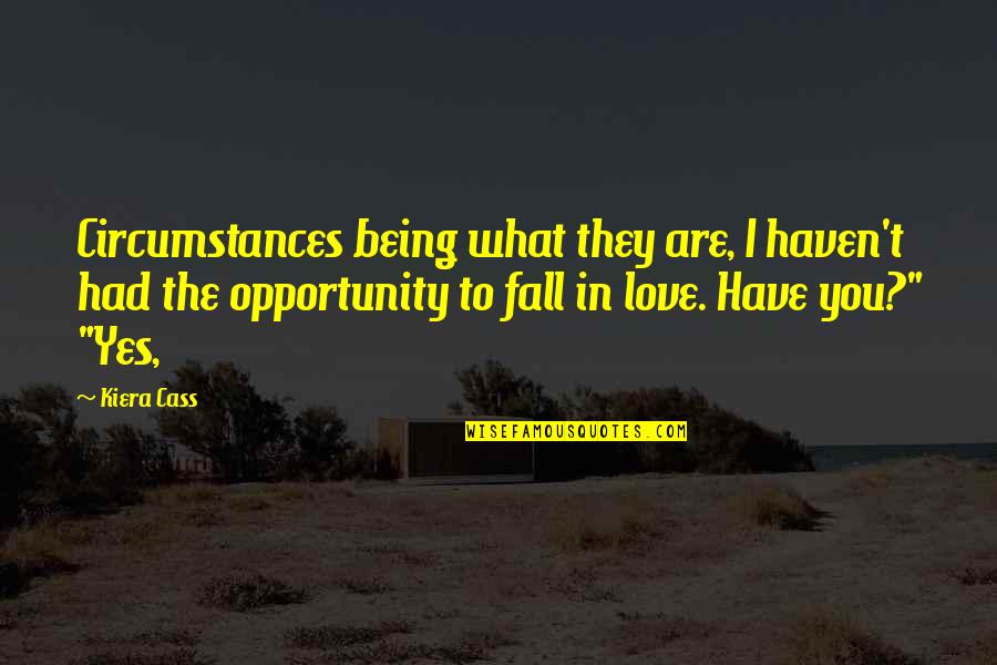 Google's Success Quotes By Kiera Cass: Circumstances being what they are, I haven't had