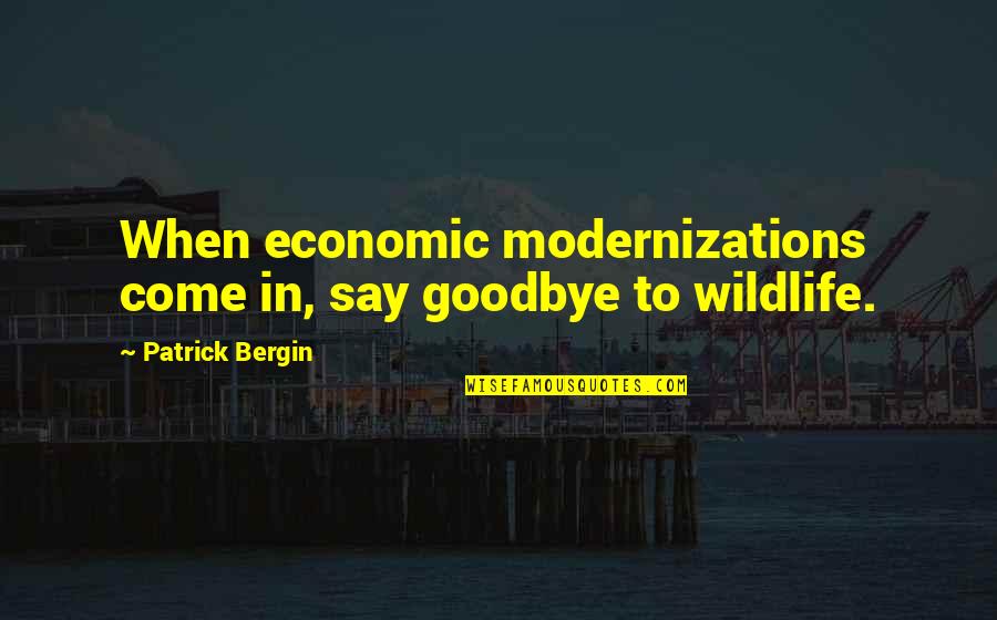 Goonie Quotes By Patrick Bergin: When economic modernizations come in, say goodbye to