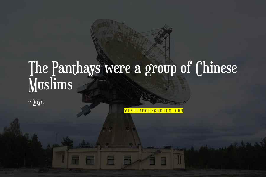 Gooo Quotes By Zoya: The Panthays were a group of Chinese Muslims