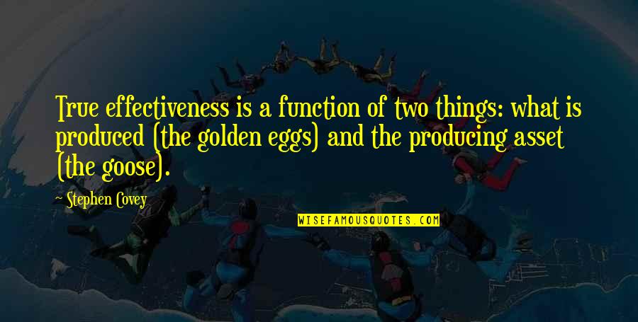 Goose Eggs Quotes By Stephen Covey: True effectiveness is a function of two things: