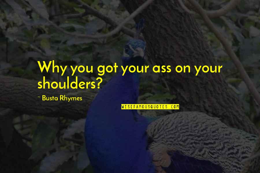 Goose Feathers For Sale Quotes By Busta Rhymes: Why you got your ass on your shoulders? Goose Feathers For Sale Quotes By Busta Rhymes: Why you got your ass on your shoulders?