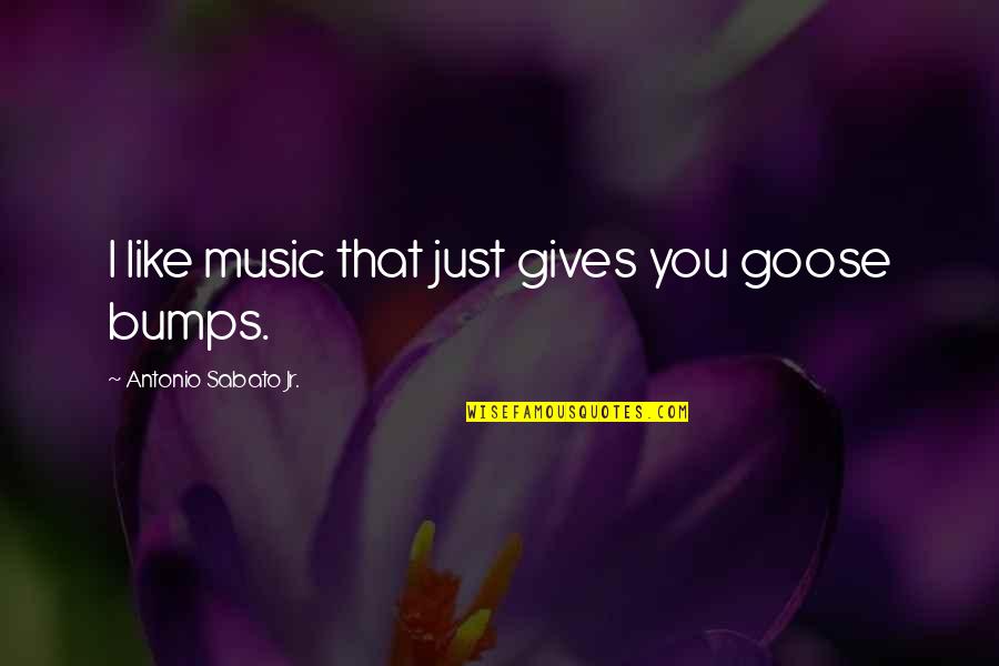 Goose Like Bumps Quotes By Antonio Sabato Jr.: I like music that just gives you goose Goose Like Bumps Quotes By Antonio Sabato Jr.: I like music that just gives you goose