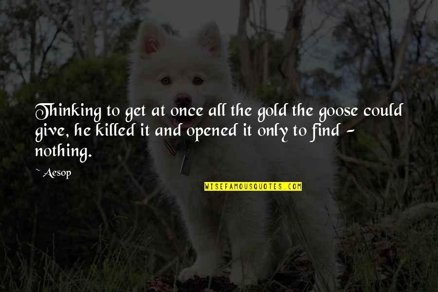 Goose Quotes By Aesop: Thinking to get at once all the gold