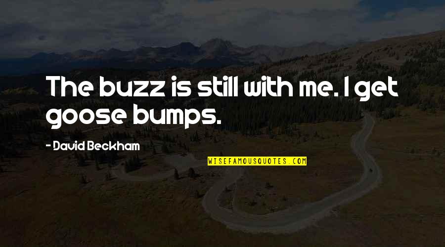 Goose Quotes By David Beckham: The buzz is still with me. I get