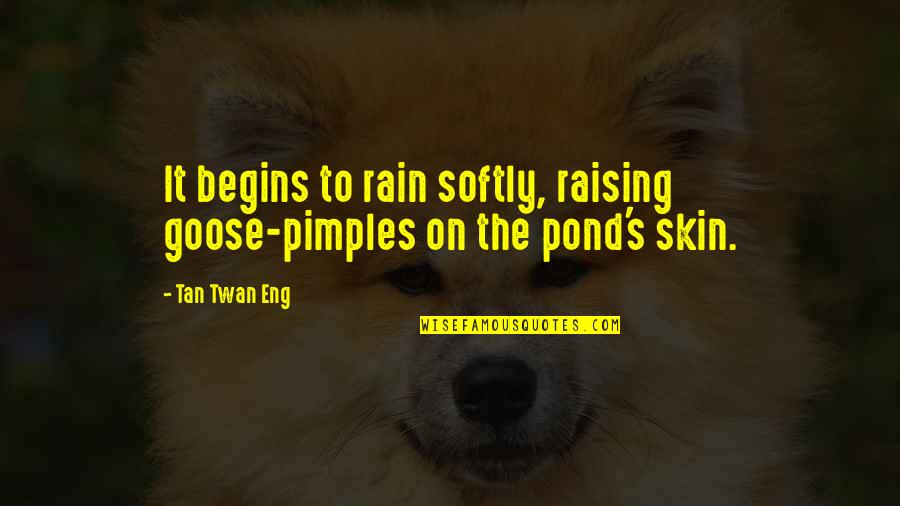 Goose Quotes By Tan Twan Eng: It begins to rain softly, raising goose-pimples on