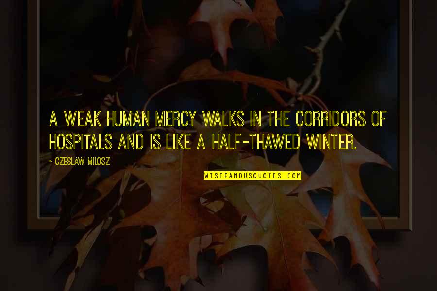 Gopalan Nair Quotes By Czeslaw Milosz: A weak human mercy walks in the corridors