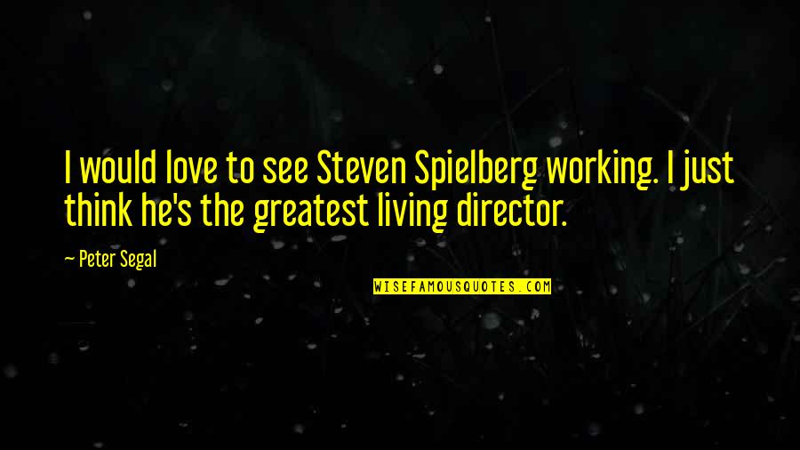 Gorda Quotes By Peter Segal: I would love to see Steven Spielberg working.