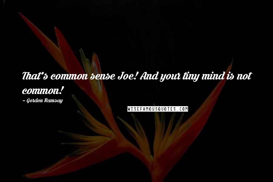 Gordon Ramsay quotes: That's common sense Joe! And your tiny mind is not common!