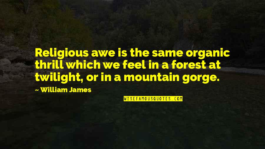 Gorge Quotes By William James: Religious awe is the same organic thrill which
