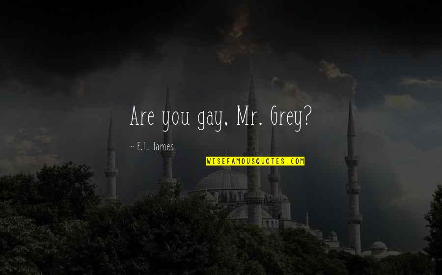 Gorgias Templates Quotes By E.L. James: Are you gay, Mr. Grey?