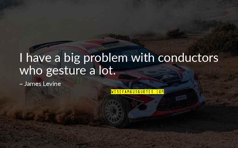 Gorgibus Moliere Quotes By James Levine: I have a big problem with conductors who