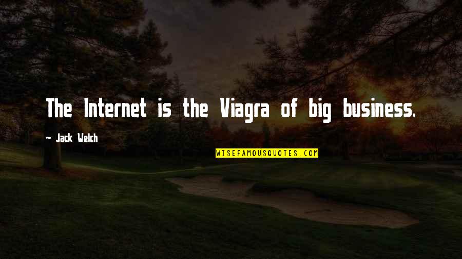 Gorina Pool Quotes By Jack Welch: The Internet is the Viagra of big business.