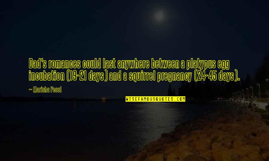 Gorkem Baran Quotes By Marisha Pessl: Dad's romances could last anywhere between a platypus Gorkem Baran Quotes By Marisha Pessl: Dad's romances could last anywhere between a platypus