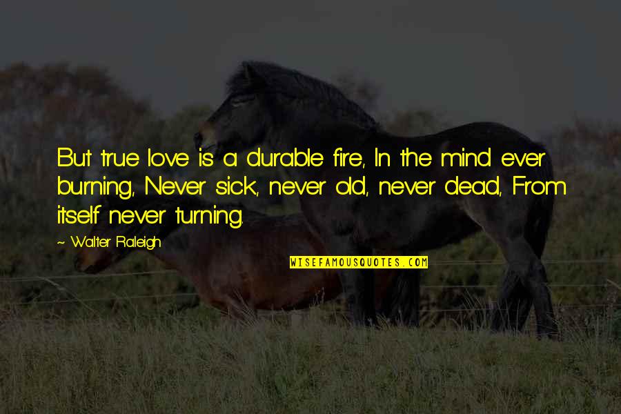 Gorkem Baran Quotes By Walter Raleigh: But true love is a durable fire, In Gorkem Baran Quotes By Walter Raleigh: But true love is a durable fire, In