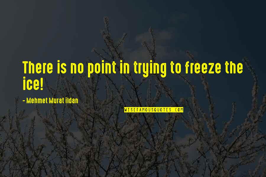 Goro Miyazaki Quotes By Mehmet Murat Ildan: There is no point in trying to freeze