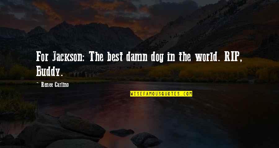 Gosd Quotes By Renee Carlino: For Jackson: The best damn dog in the
