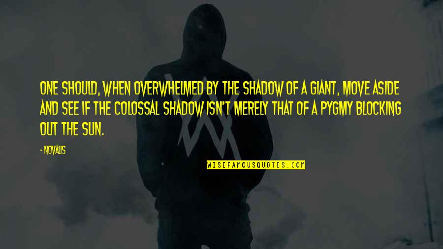 Gospotcheck Quotes By Novalis: One should, when overwhelmed by the shadow of Gospotcheck Quotes By Novalis: One should, when overwhelmed by the shadow of