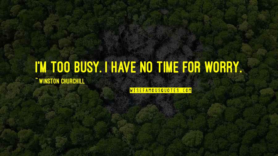Gossamar Quotes By Winston Churchill: I'm too busy. I have no time for