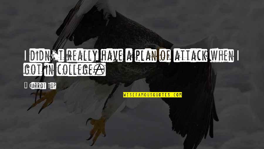Got A Plan Quotes By Carrot Top: I didn't really have a plan of attack