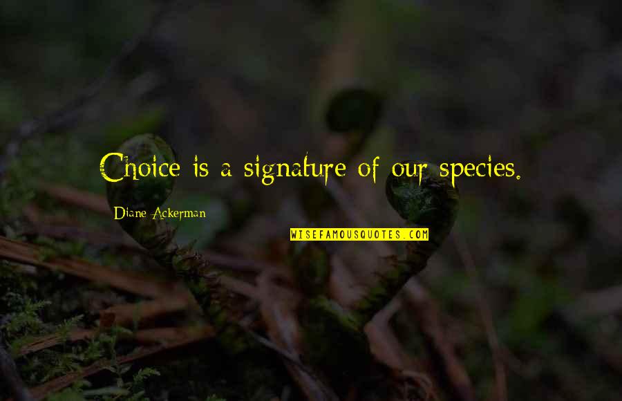 Got Injured Quotes By Diane Ackerman: Choice is a signature of our species. Got Injured Quotes By Diane Ackerman: Choice is a signature of our species.