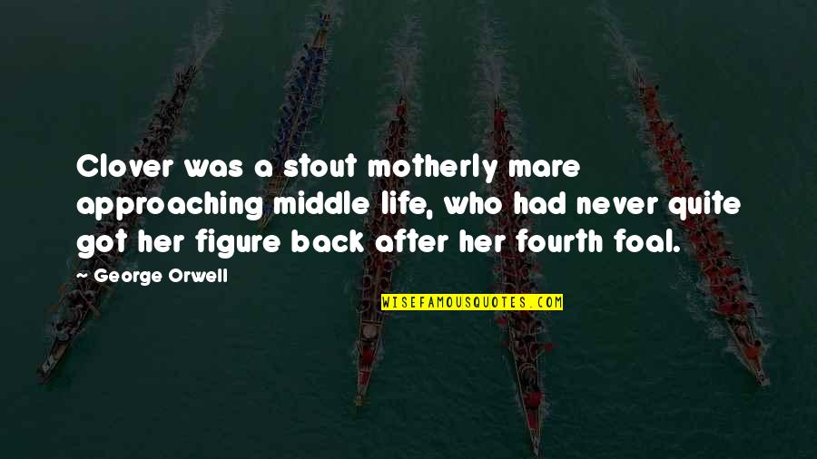 Got My Life Back Quotes By George Orwell: Clover was a stout motherly mare approaching middle Got My Life Back Quotes By George Orwell: Clover was a stout motherly mare approaching middle