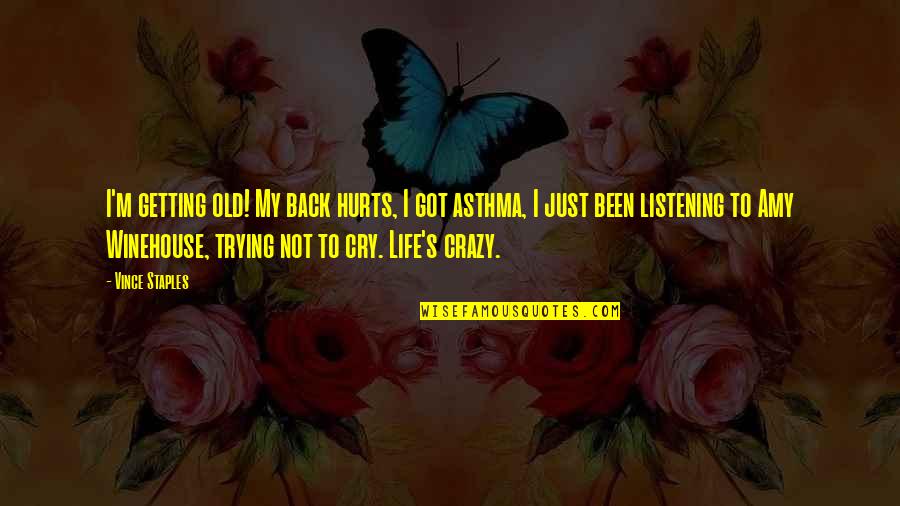Got My Life Back Quotes By Vince Staples: I'm getting old! My back hurts, I got Got My Life Back Quotes By Vince Staples: I'm getting old! My back hurts, I got