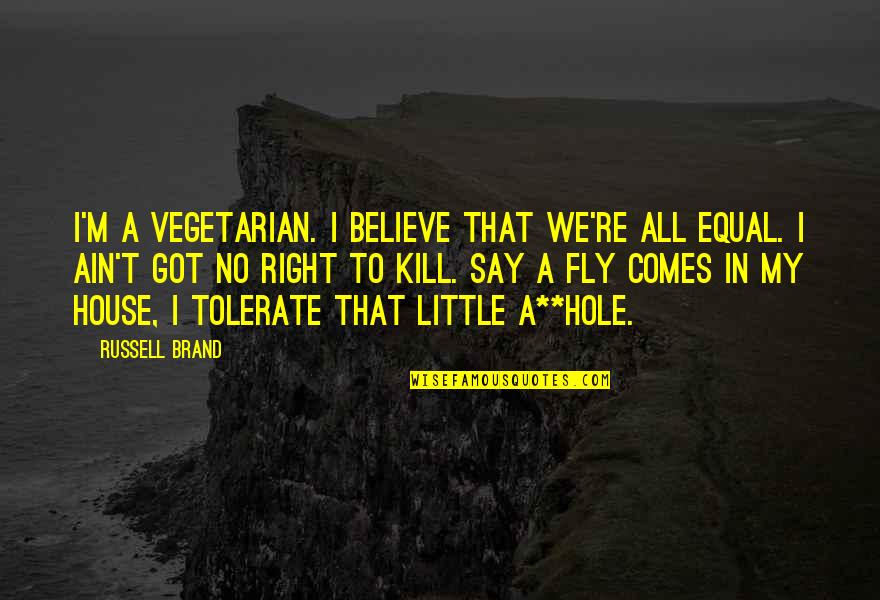 Got To Believe Quotes By Russell Brand: I'm a vegetarian. I believe that we're all