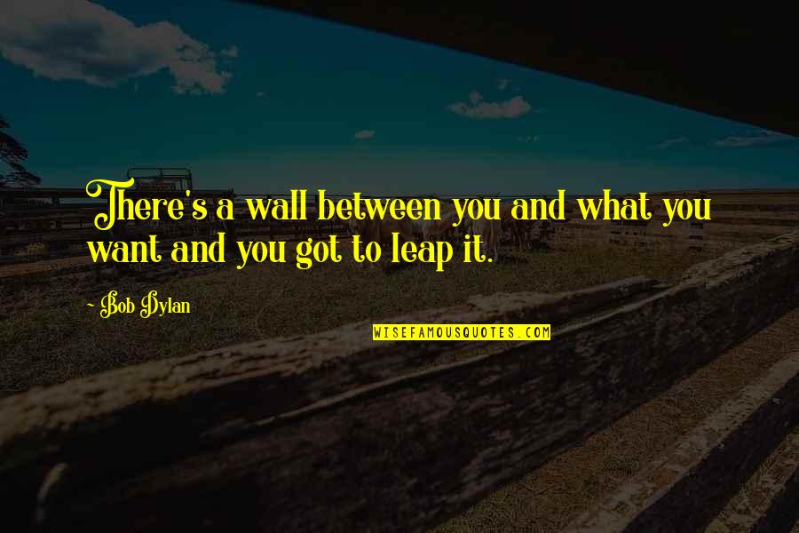 Got Wall Quotes By Bob Dylan: There's a wall between you and what you